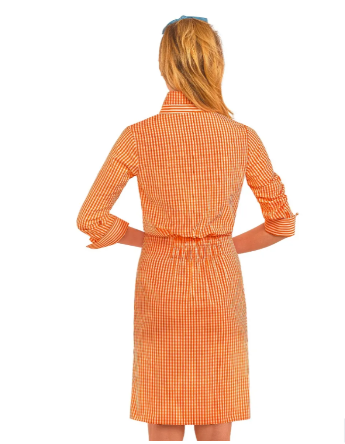 Breezy Gingham Ladies Dress